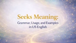 Seeks Meaning