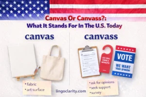 Editorial comparison image showing canvas as fabric and an art surface, and canvass as asking for opinions, support, or votes.