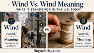 Wind vs. wind meaning shown with a windy street and a hand winding a cord