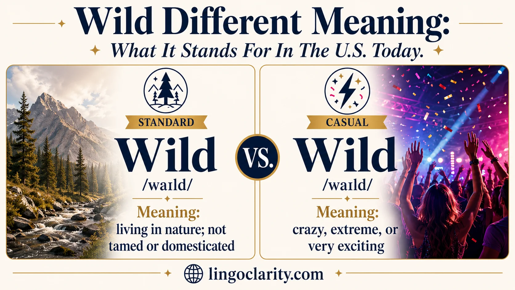 Vocabulary card explaining the informal phrase wild different.