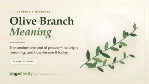 Olive branch meaning illustration showing an olive branch with leaves and olives as a symbol of peace