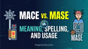 Mace vs. Mase: Meaning, Spelling, and Usage