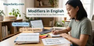 Modifiers in English grammar: types, rules, examples, and common mistakes
